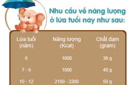 Dinh dưỡng cho bé tuổi đến trường 2126 Thumb