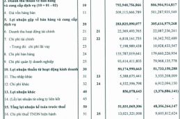 Lãi trước thuế quý 1 đạt 51 tỷ đồng 2456 Thumb